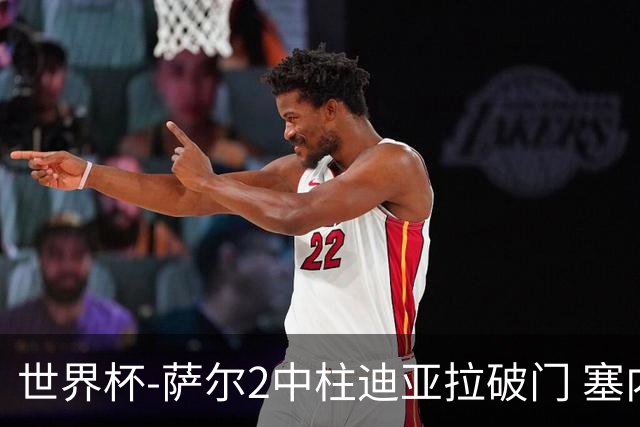 世界杯-萨尔2中柱迪亚拉破门 塞内加尔半场暂1-0比利时